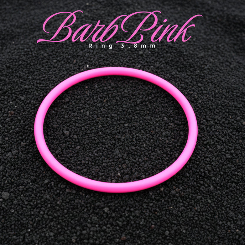 Ersatzring für Deckel Zeitbuddels in pink 3,8mm
