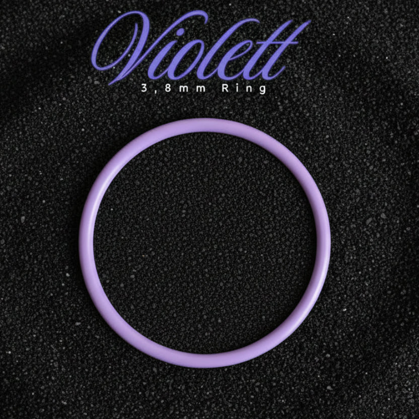 O-Ring EPDM für Zeitbuddels Deckel 3,8mm violett